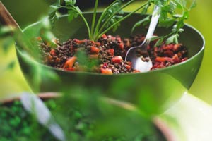 Las mejores recetas veganas con lentejas