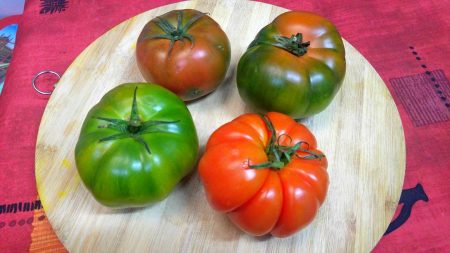 como preparar tomates rellenos
