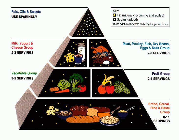 Pirámide alimenticia 1992
